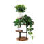 Étagère à plantes à 3 niveaux, petite tablette en métal et en bois pour plusieurs plantes d'intérieur, présentoir d'angle pour pots de fleurs, idéal pour le salon, la chambre ou le balcon.