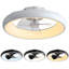 Ceiling Fan with LED Lights