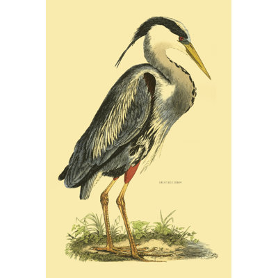 Small Great Blue Heron by John Selby - Wrapped Canvas Print