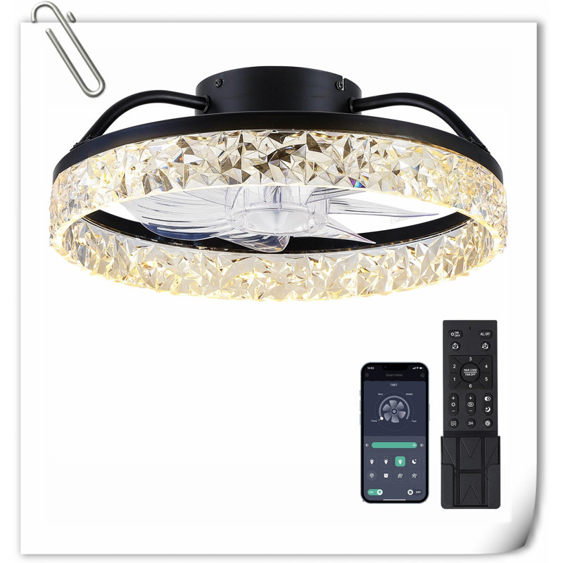 Museau Ceiling Fan with LED Lights