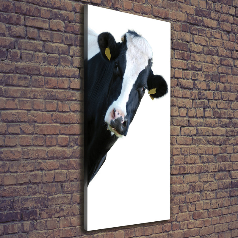 A Bred Cow - Wrapped Canvas Print