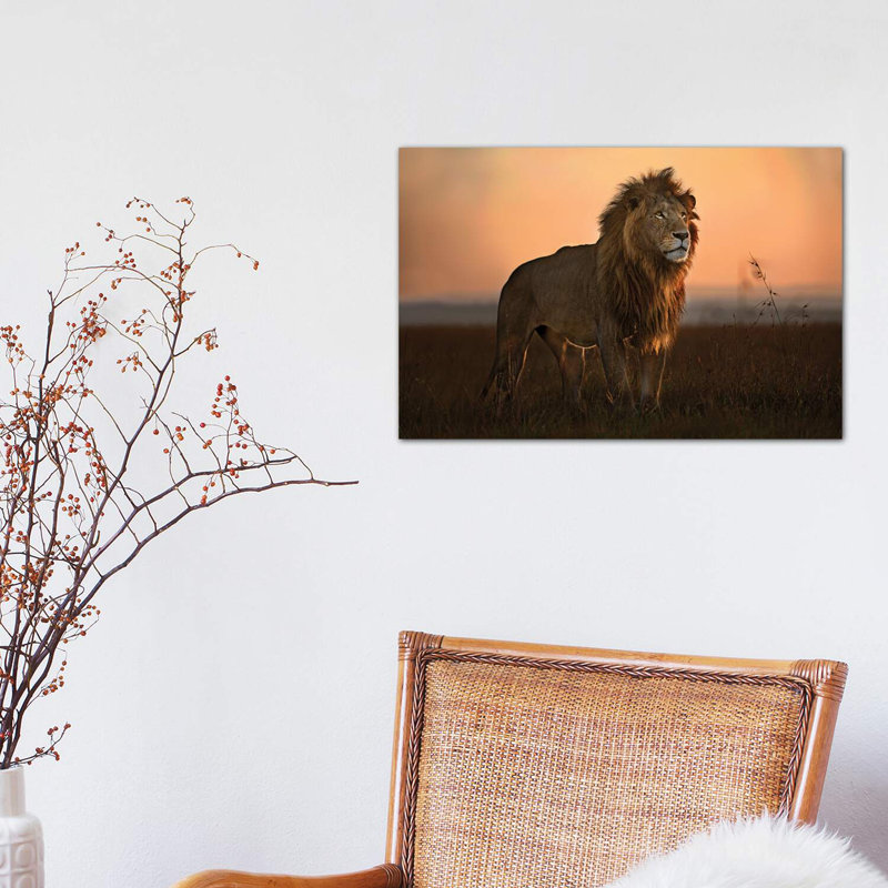 The King in the Morning Light 1 Piece Wrapped Canvas Wall Art, 30.48 cm H x 45.72 cm W