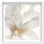 Neutral Flow I Shadowbox Abstract Print by Oliver Gal, Black Frame, 12 x 12