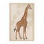 Tapis traditionnel moelleux moelleux en girafe beige-208458512