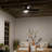 52'' Ceiling Fan with LED Lights-442598559