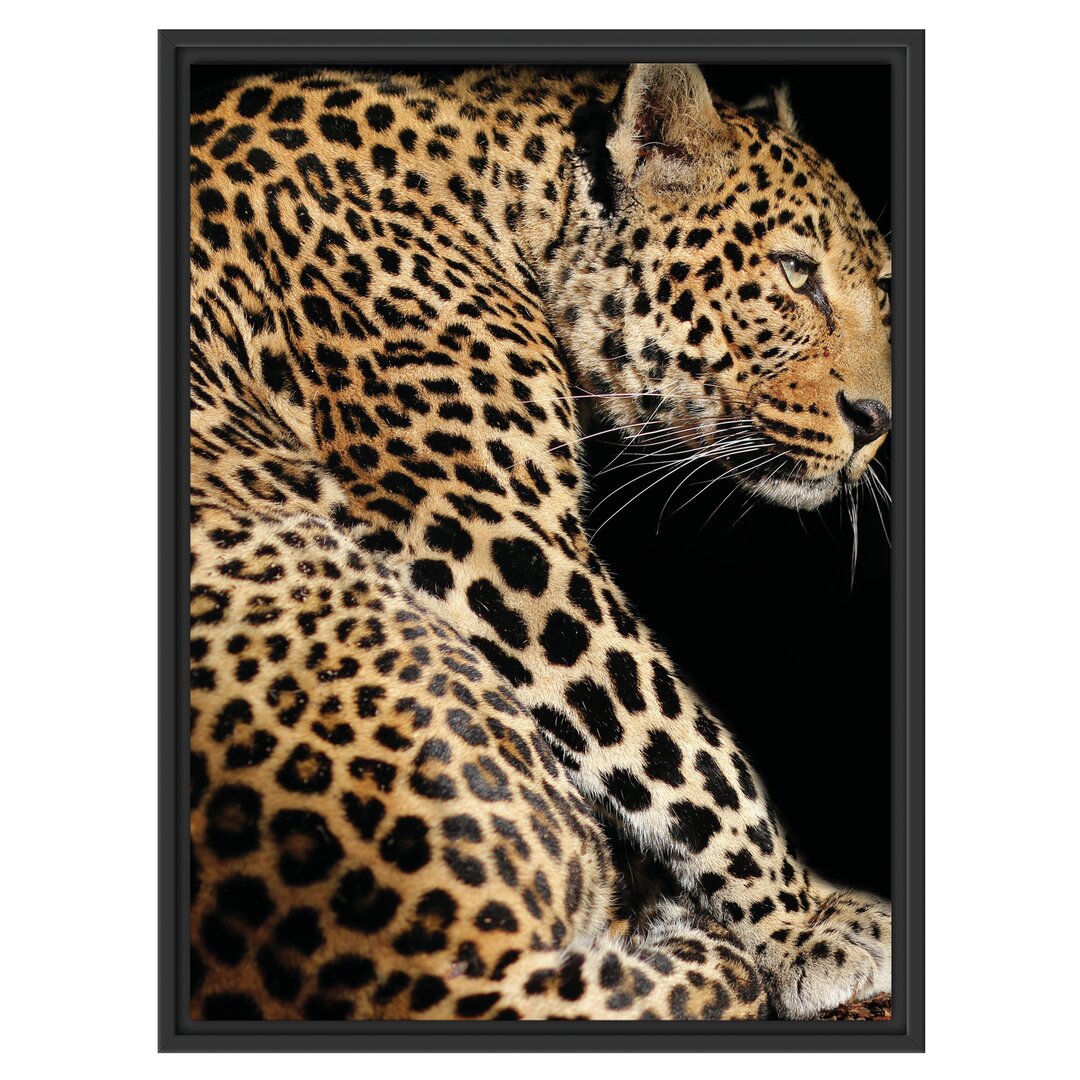 Gerahmtes Wandbild Anmutiger Leopard