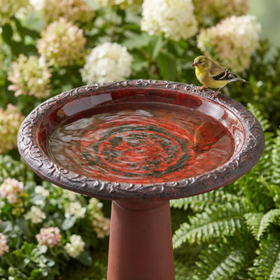 Bain d'oiseaux glacé marbré