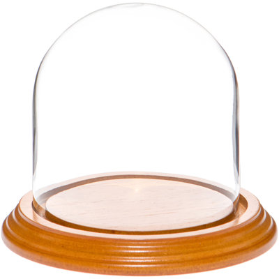 Cloche à dôme en verre 4 "x 4" Jenett
