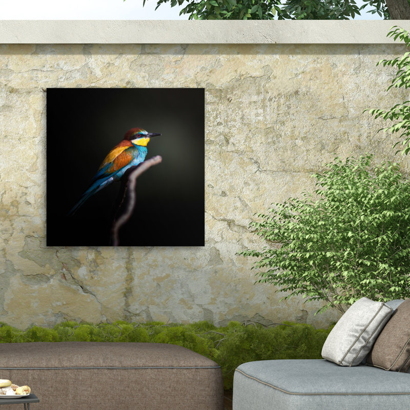 Fegari coloré foncé, H 14 po x l 14 po x P 1,5 po