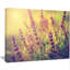 « rétro photo of wild purple fleur », impression sur toile tendue-19408613