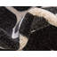 Tapis tissé à la machine Molly-1731222666