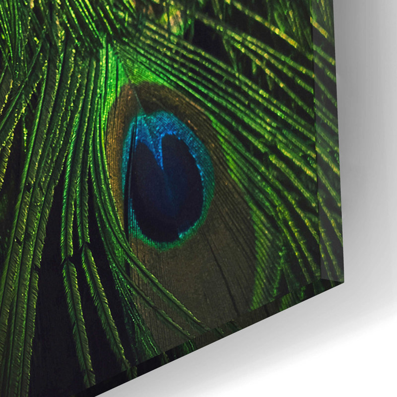 Epic Art «Peacock Tail» par Incado, H 16 po x l 12 po x P 0,13 po