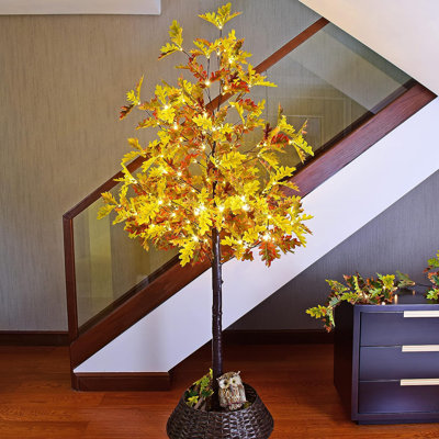 Lighted Christmas Tree