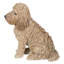 Statue cockapoo assis-44488700