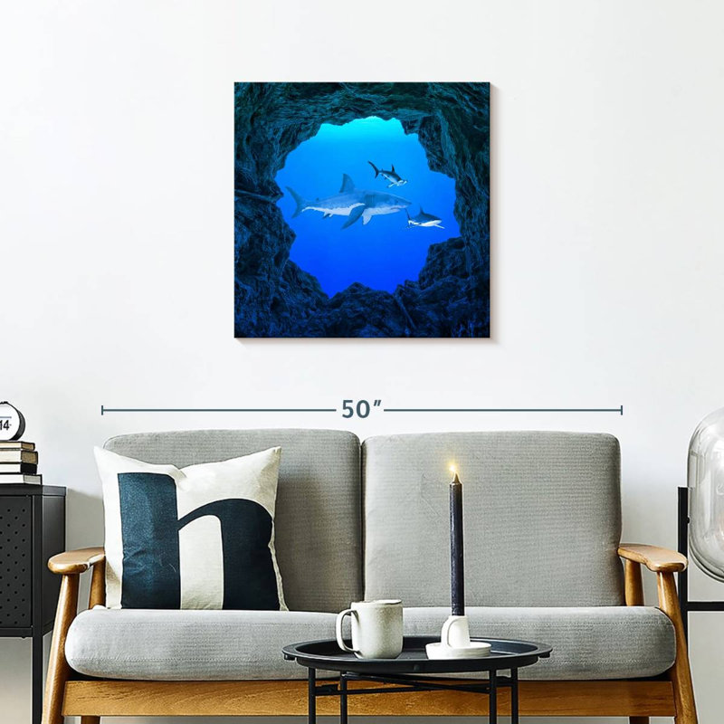 Brampt Sharks Ocean Hole, 24" H x 24" W