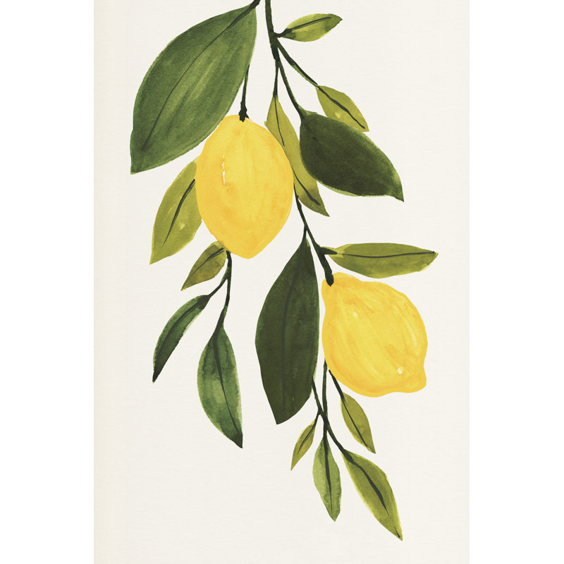 Lemon Branch II by Annie Warren - No Frame Print on Canvas, 30cm H x 20cm W x 3.8cm D