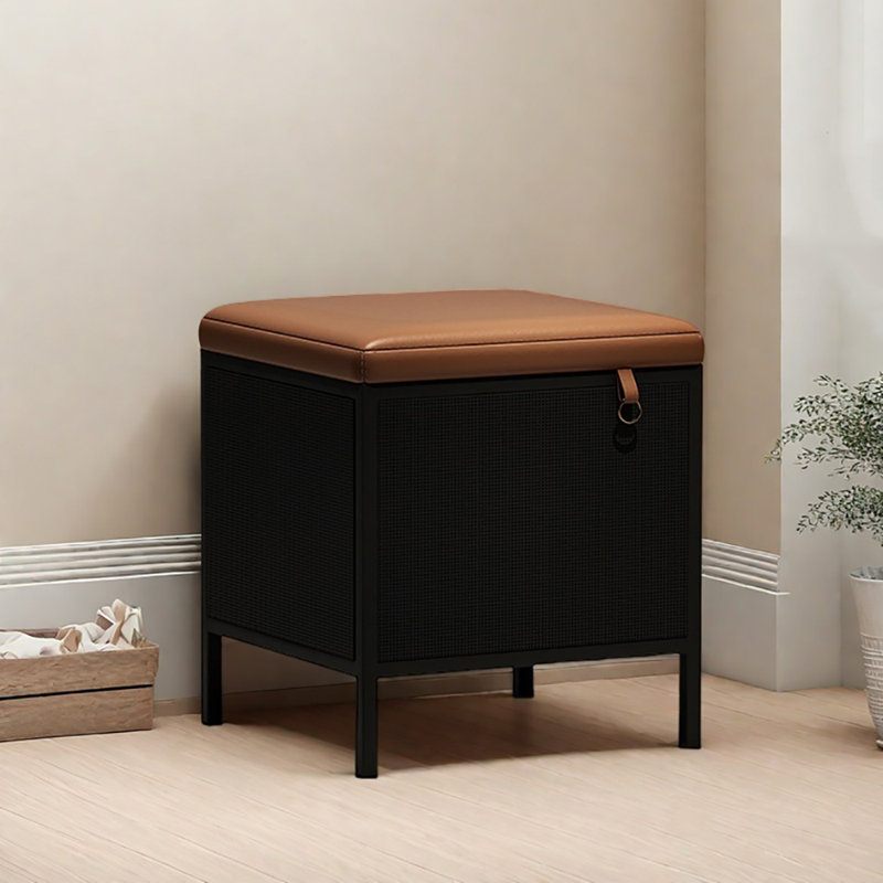 Rangement pour chaussures 15,4 po, Noir / brun