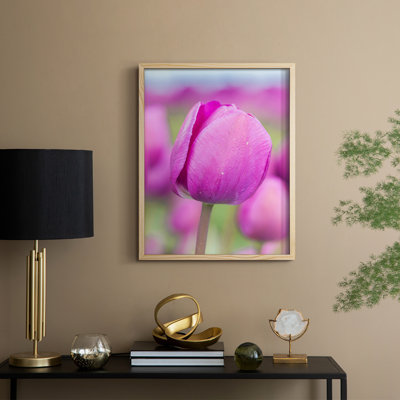 Reproduction encadrée de tige magenta - bois massif