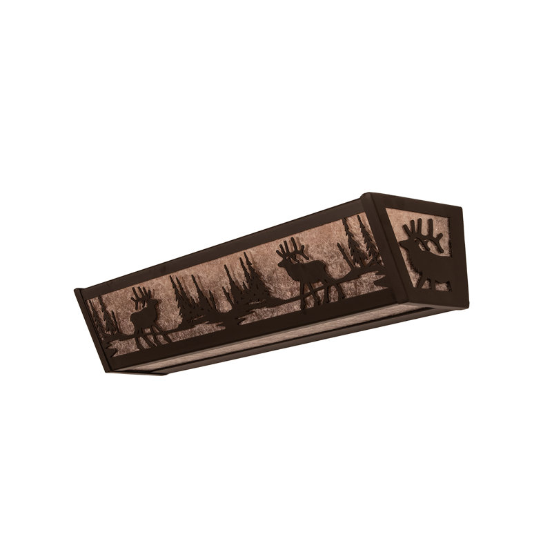 4 - Light Vanity Light, Silver, Oil Rubbed Bronze