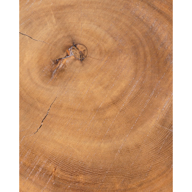 Millwood Pines Display Riser & Stand Buffet Accessory