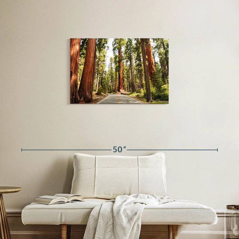 Harnek Sequoia Tree Lane, H 20 po x l 30 po
