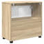 Freestanding Under Sink Cabinet
