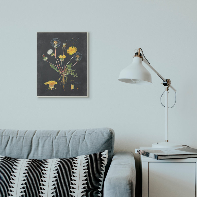 «Botanical Dessin Dandelion On Black Design», impression, Plaque murale, H 19 po x l 13 po