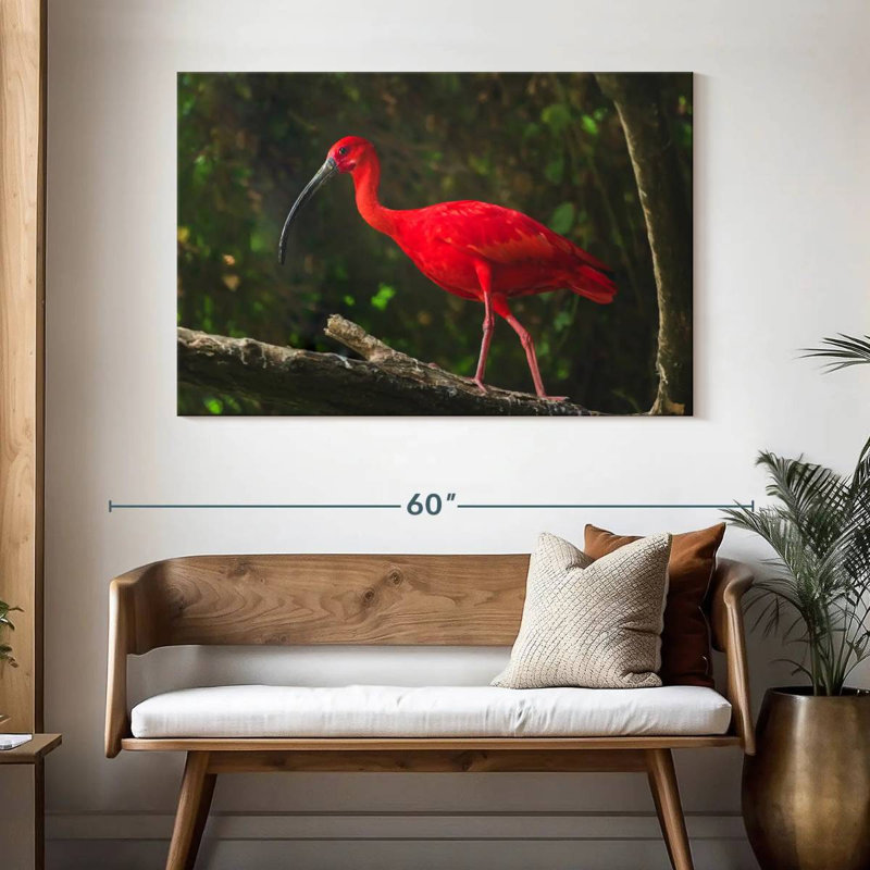Brampt Red Ibis Bird, 32" H x 48" W