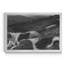 Fox Hound - reproduction sur toile tendue-52432865-52432849