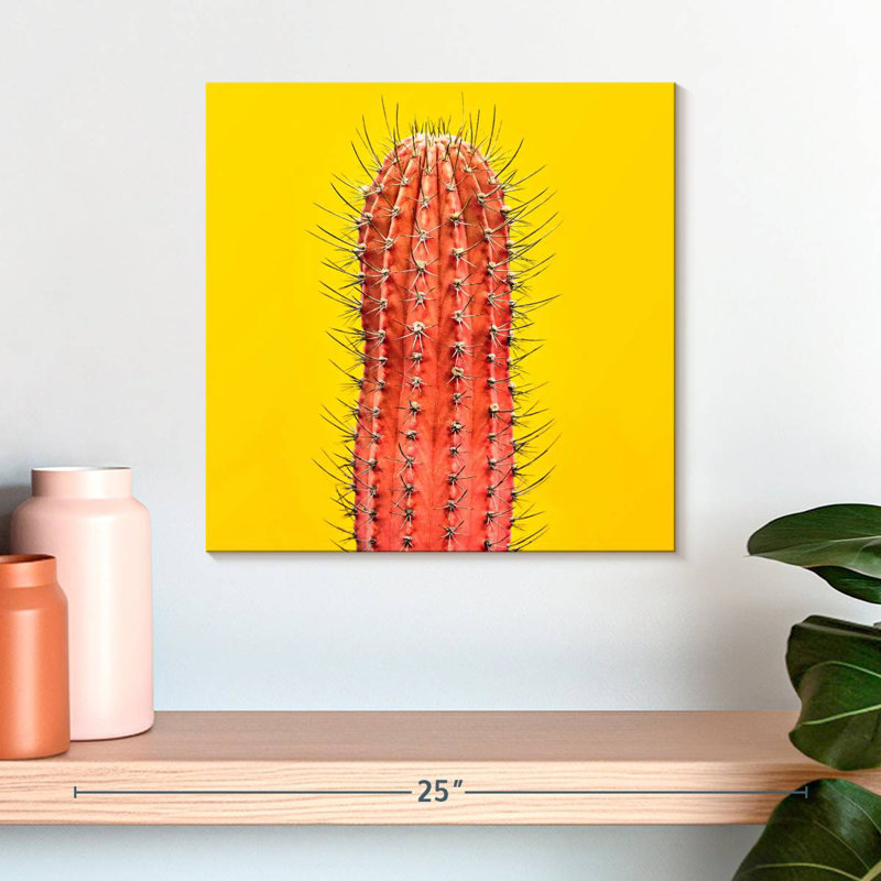 Cactus orange Harnek, H 16 po x l 16 po