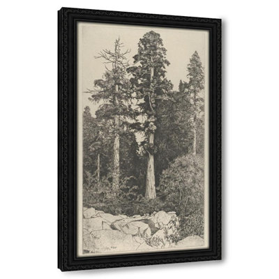 Baby Sequoia (1915)