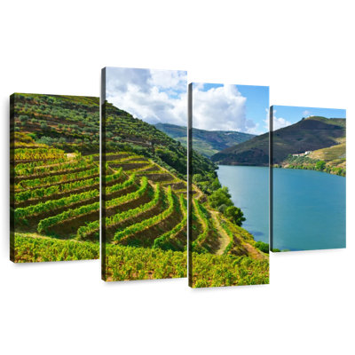 Alvord River Douro Vineyard