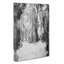 Forest Blur in Abstract - Wrapped Canvas-55315057