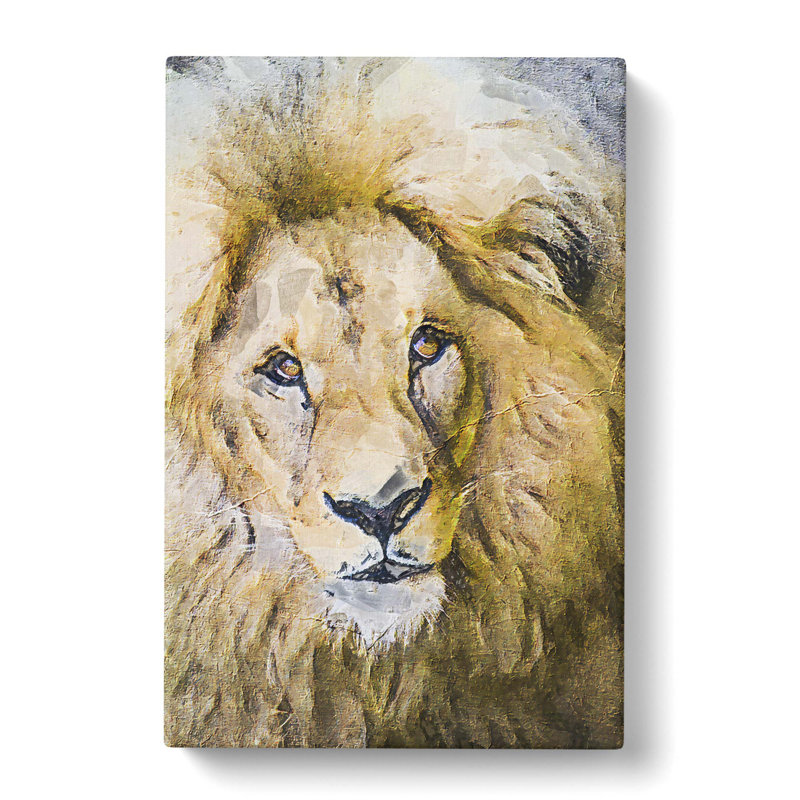 The Face Of A Lion - Wrapped Canvas, 76cm H x 50cm W x 3cm D