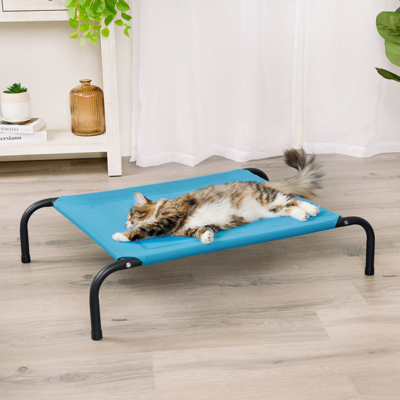 Elevated Cot Pet Bed, 8" H x 25.5" W x 36" D, Blue