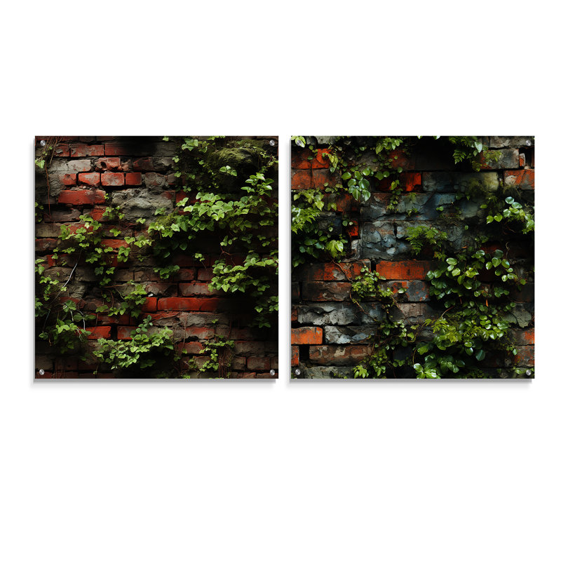 Urban Plants Oasis Bring, H 16 po x l 33 po