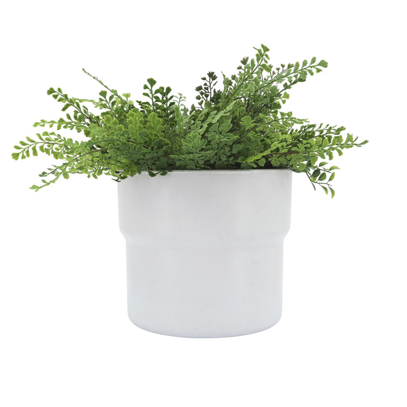 Mushroom Set of Three Ceramic Planters - 10" x 10" x 9", White