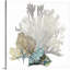 « Coral » par Aimee Wilson - reproduction d'impression sur toile tendue-415550916-403286433-515388066