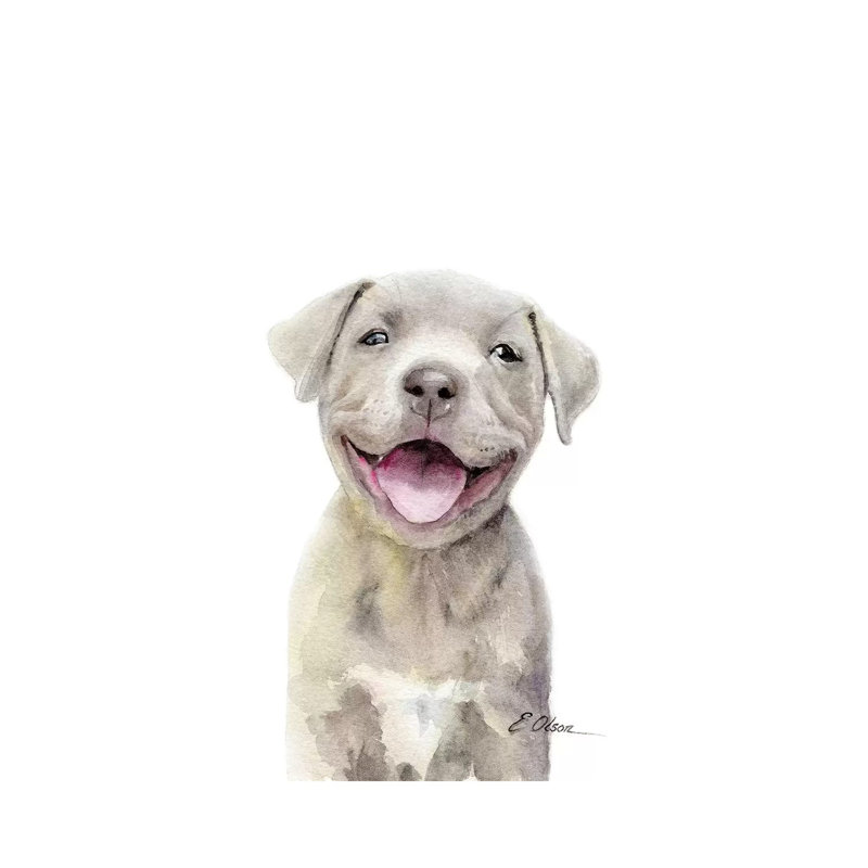 Pitt Bull Puppy - Wrapped Canvas Painting, 45.72cm H x 30.48cm W