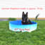 12'' Plastic Foldable Dog Pool-55050398