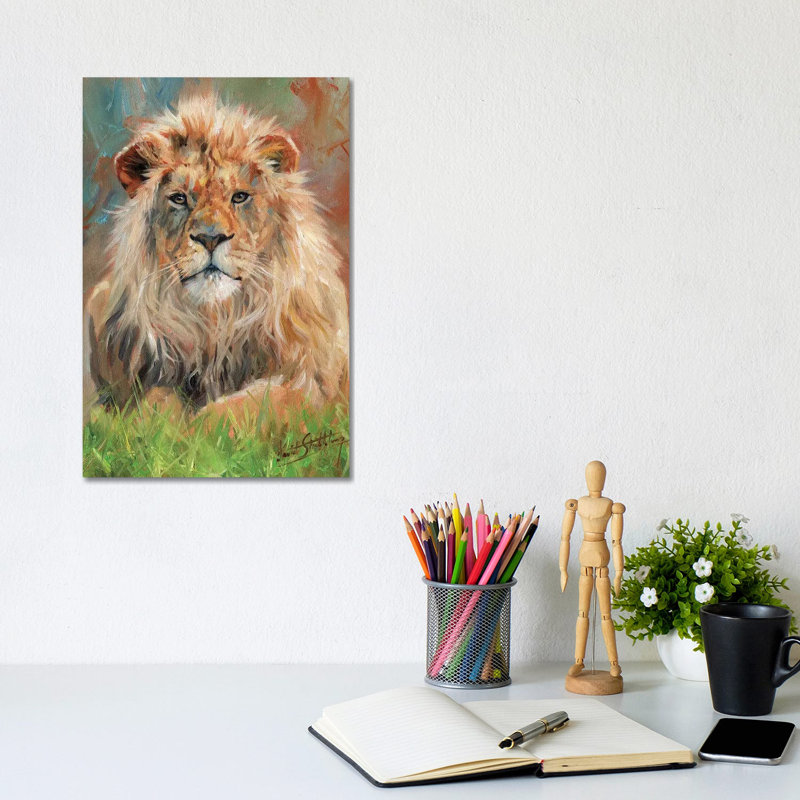 Lion Front by David Stribbling - Wrapped Canvas Print, 20.32 cm H x 30.48 cm W