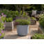 Ashley Round Egg Planter, Concrete Effect, Indoor and Outdoor Round Plant Pot with Drainage Hole-599791368-599791373