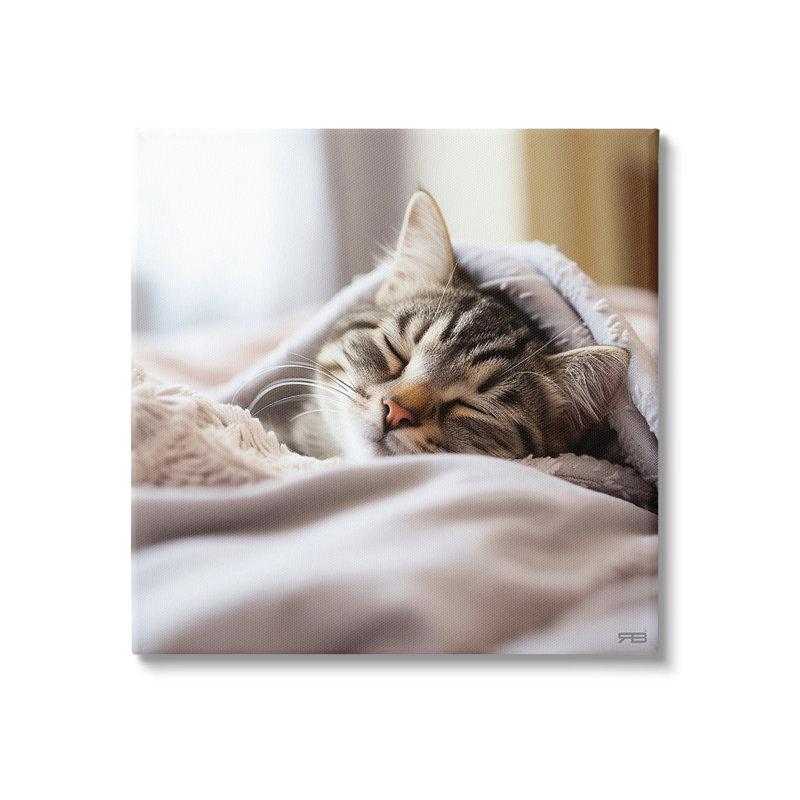 «Cozy Sleeping Kitten», art mural sur toile par RB, H 30 po x l 30 po