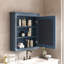 Armoire de rangement murale avec miroir, tablette réglable et charnières à fermeture en douceur pour une utilisation efficace de l'espace-311891845-311891842