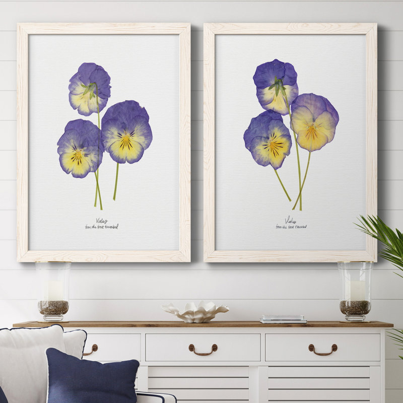Pressed Violas I - Ensemble de 2 peintures sur toile encadrées, Blanc, H 31,5 po x l 47 po x P 1,5 po