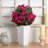 Bougainvillea Arrangement in Planter