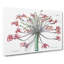 Amaryllis Josephine Flowers - Wrapped Canvas-55368673