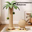 Arbre à chat coco pour chats d'intérieur, fond épais