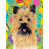 Cairn terrier (beige et noir) sélectionné