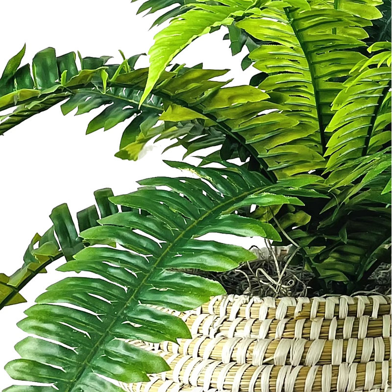 22'' Faux Fern Plant in Wicker/Rattan Basket